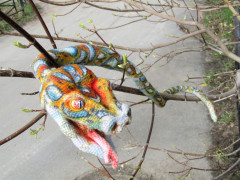 IMG_4157.JPG (270.6 КБ) 9971 просмотр #серпентарий