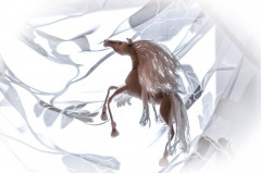 MIqFLJ-DJx8.jpg (74.04 КБ) 5245 просмотров По мк Светланы Перцевой белогривая мечта