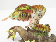 IMG_4475.JPG (175.49 КБ) 9948 просмотров #серпентарий