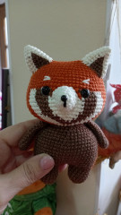 1000005298.jpg (145.96 КБ) 9756 просмотров Красная панда