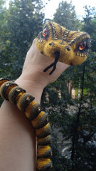 сегмента 2.jpg (162.91 КБ) 9723 просмотра #серпентарий