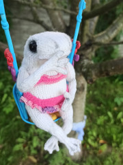 IMG_20240816_172257.jpg (164.66 КБ) 9719 просмотров #беззаботная лягушка