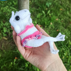 IMG_20240816_172119.jpg (204.95 КБ) 9719 просмотров #беззаботная лягушка