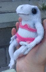 IMG_20240816_172428.jpg (122.09 КБ) 9719 просмотров #беззаботная лягушка