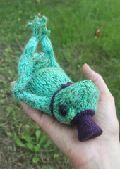 IMG_20240827_145906.jpg (178.89 КБ) 8161 просмотр #беззаботная лягушка