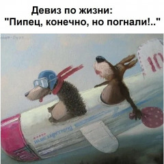 funny-klev-club-p-smeshnie-kartinki-pognali-5.jpg